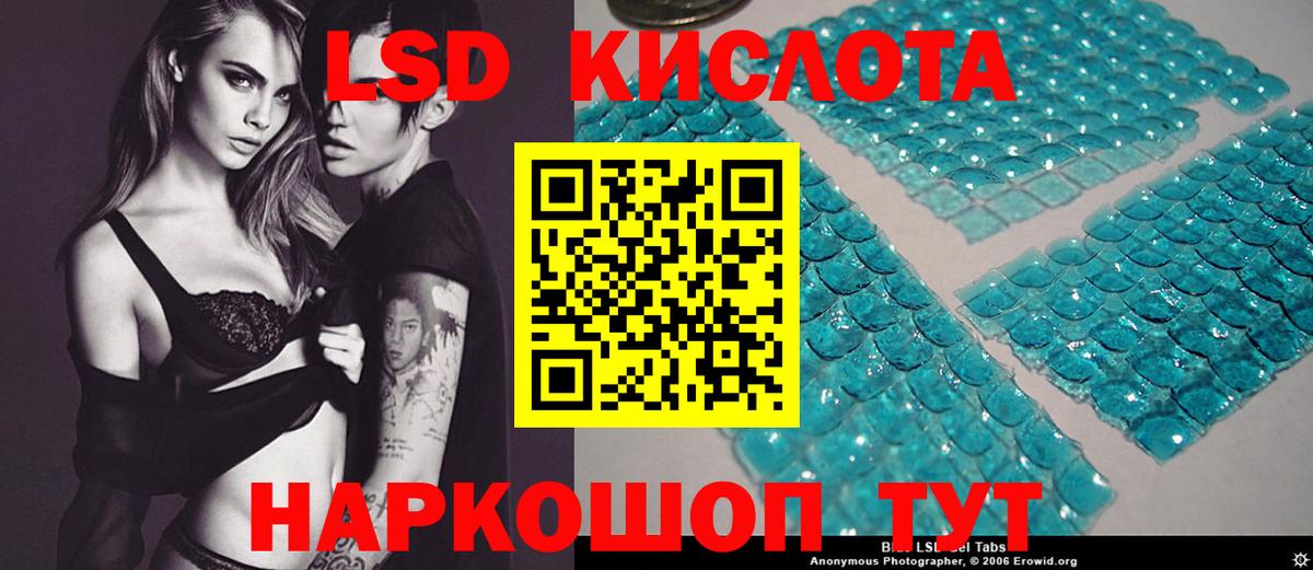 blacksprut как войти  Вход с VPN  Новошахтинск  ЛСД экстази ecstasy  ЛСД экстази ecstasy 