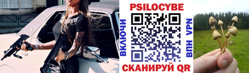 Галлюциногенные грибы Psilocybine cubensis  Новошахтинск 