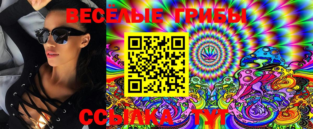 Галлюциногенные грибы GOLDEN TEACHER Новошахтинск