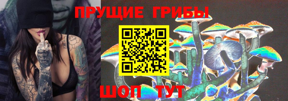 Галлюциногенные грибы MAGIC MUSHROOMS  Вход с VPN  магазин  наркотиков  Новошахтинск  Псилоцибиновые грибы Cubensis 